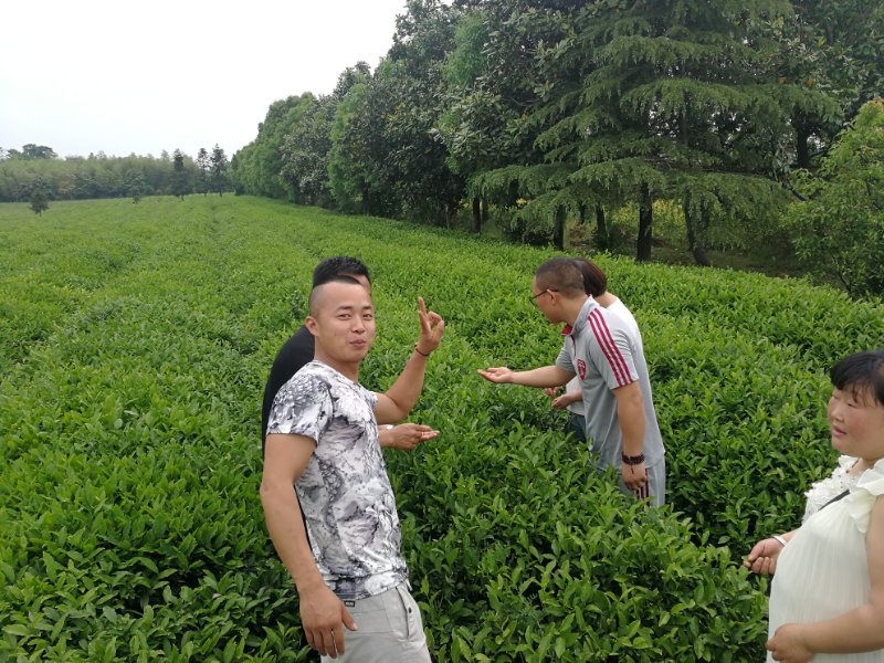 賽維亞貨架